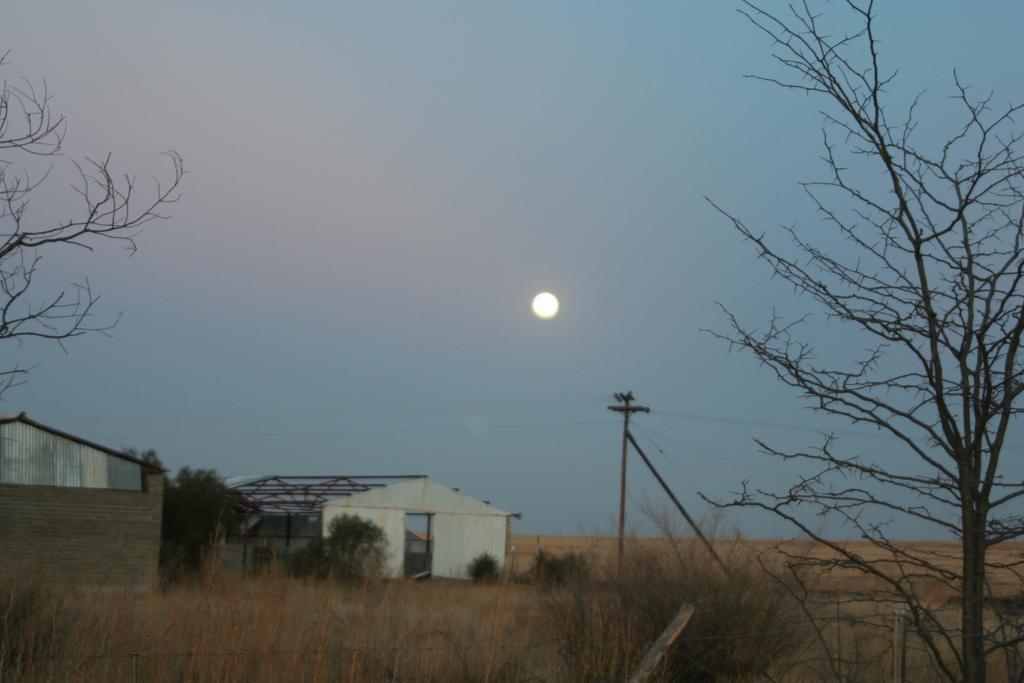 Akwela Guest Farm Hotell Bloemfontein Eksteriør bilde
